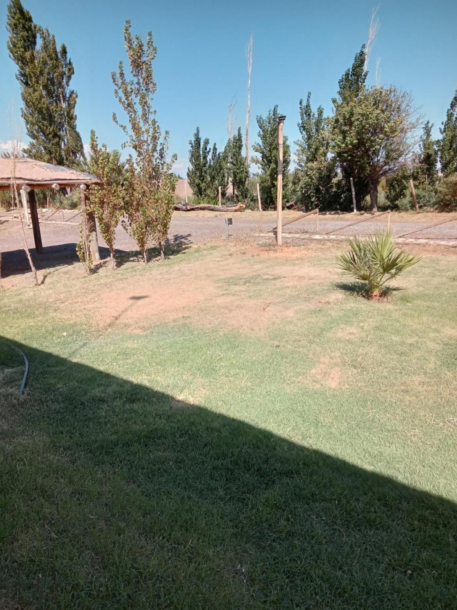 Cabanas De La Bodega Romano-Pin Albardón Esterno foto