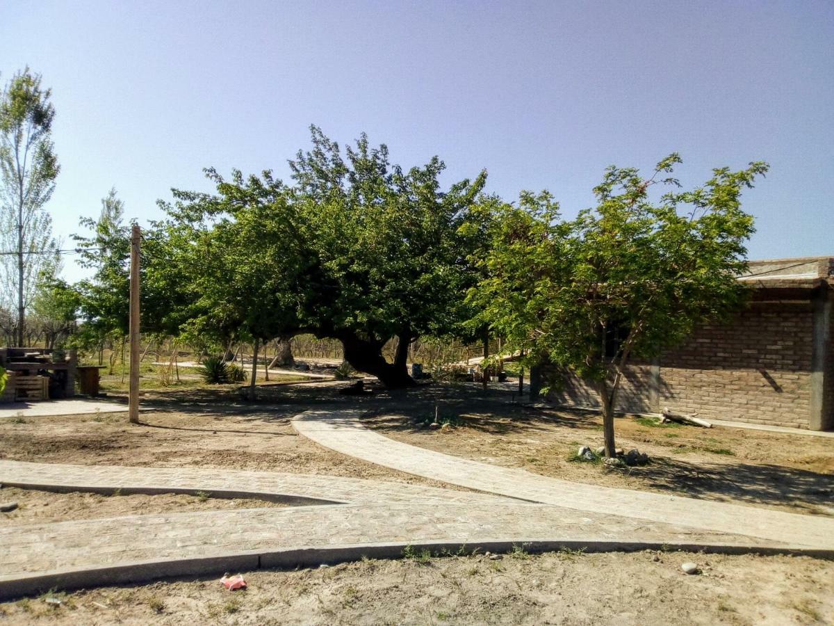 Cabanas De La Bodega Romano-Pin Albardón Esterno foto